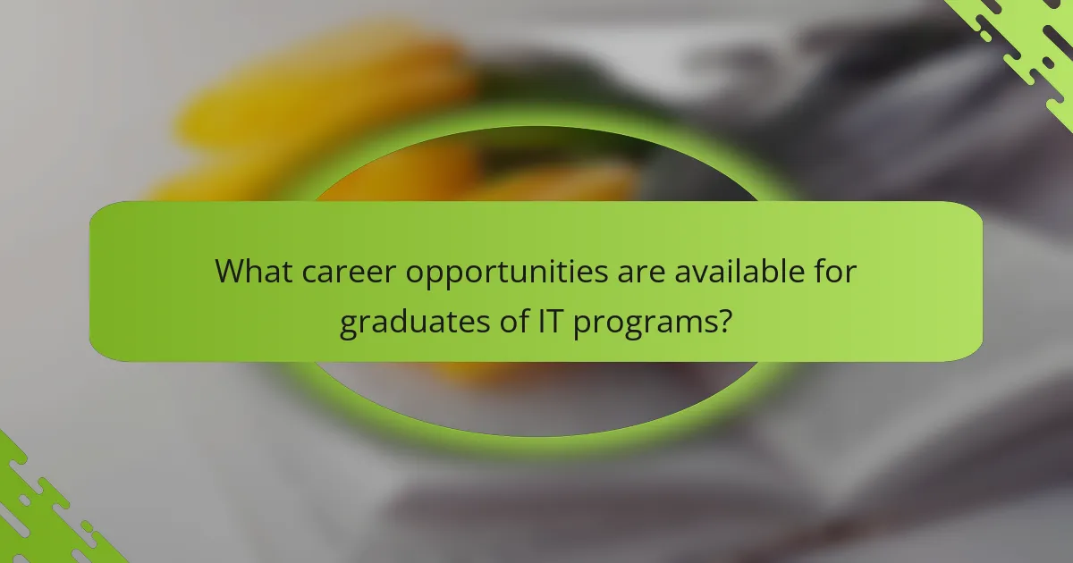 What career opportunities are available for graduates of IT programs?