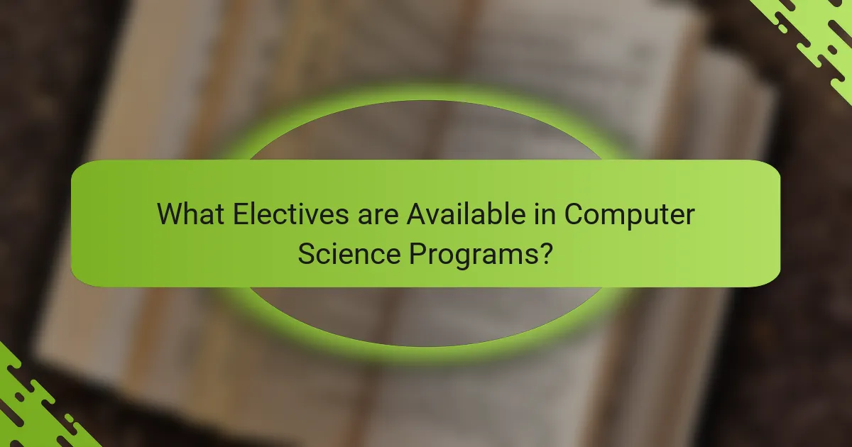 What Electives are Available in Computer Science Programs?