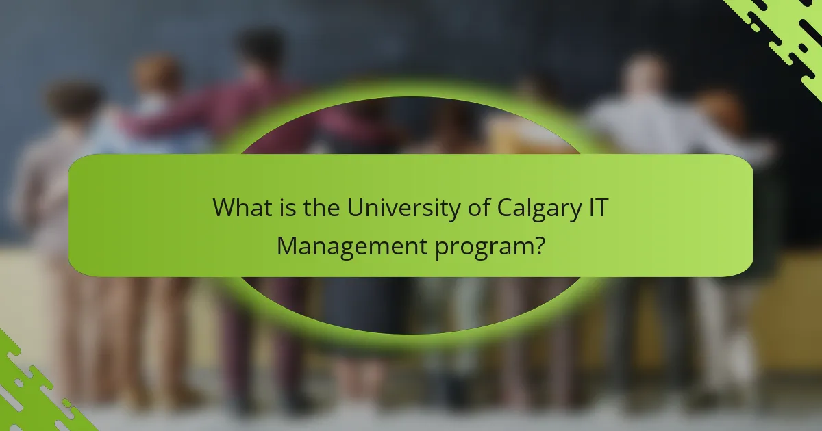 What is the University of Calgary IT Management program?