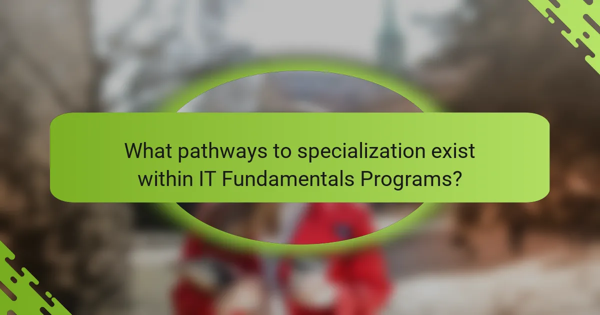 What pathways to specialization exist within IT Fundamentals Programs?