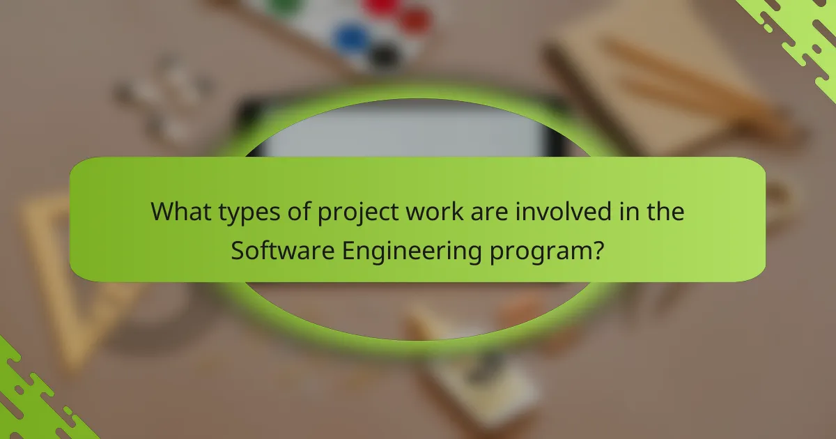 What types of project work are involved in the Software Engineering program?